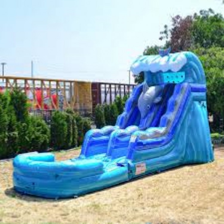 Dolphin 15'  Slide Wet/Dry