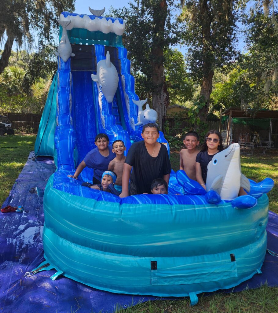 Dolphin Slide 19 ft with kids Home