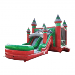 Bounce20House20Combo 1726529174 BOUNCE HOUSE COMBO PACKAGE