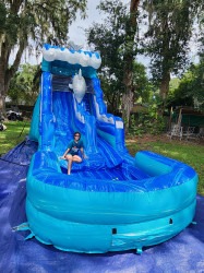 Dolphin20Slide201520foot 1726274609 Dolphin 15' Slide Wet/Dry