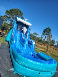 15ft 1750373008 1 15FT DOLPHIN SLIDE WET/DRY