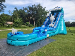 19ft20slide20 1750372879 1 19FT DOLPHIN SLIDE WET/DRY
