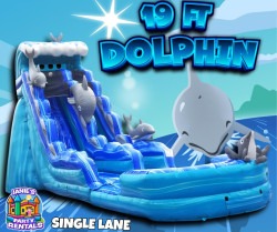 19FT DOLPHIN SLIDE WET/DRY