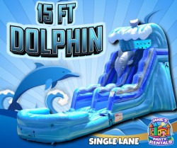15FT DOLPHIN SLIDE WET/DRY