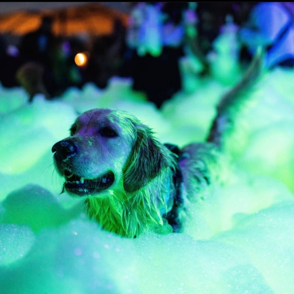 IMG 3463 Foam & Glow Parties